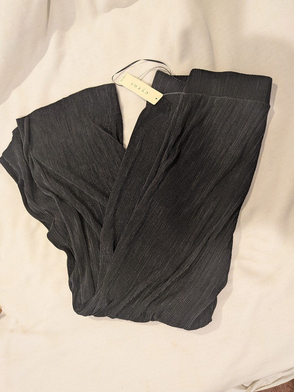 Cyrus Pleated Women’s Black Wide-Leg Pants M